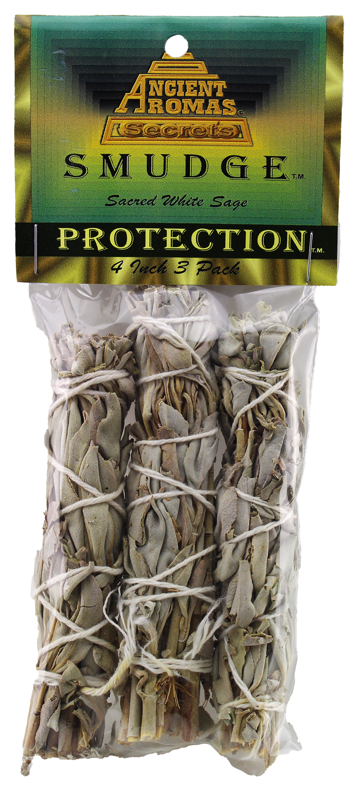 Dreams & Vision Cones